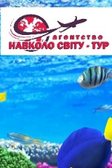 profile_logo
