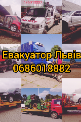 profile_logo