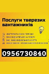 profile_logo